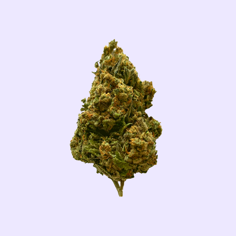 Blueberry Muffin