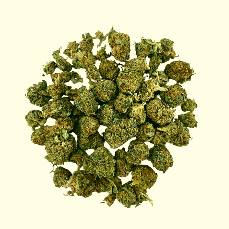 Mini Buds Premiums