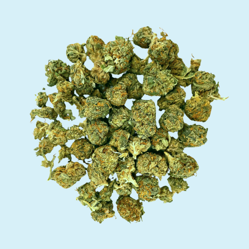 Mini-buds Raspberry – Synapsid