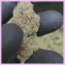 Load and play video in Gallery viewer, Purple Alien OG US
