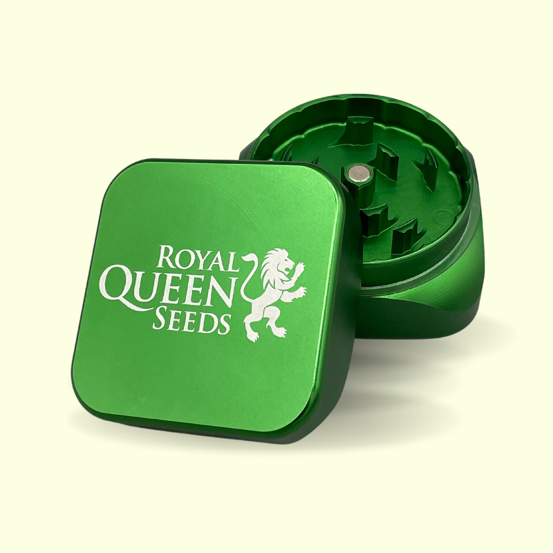 Grinder Krush x Royal Queen Seeds Grinder Vert Metal solide et résistant